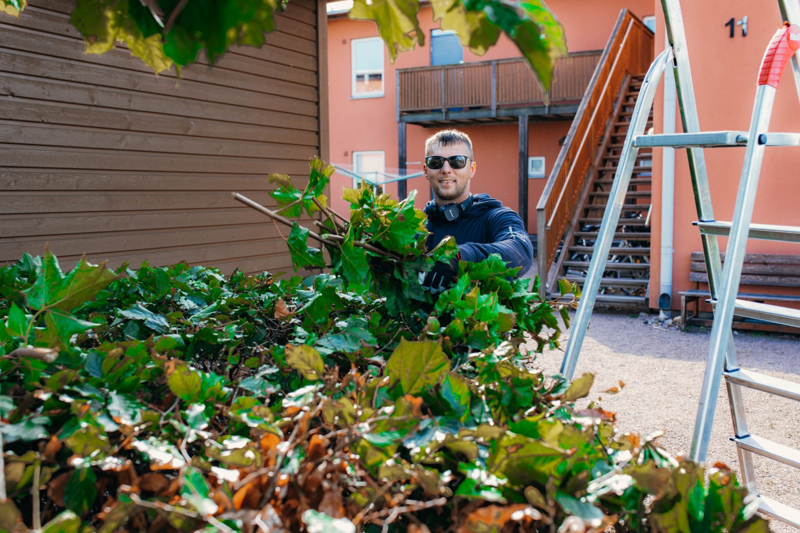 Trädgårdsarbetare rensar bortklippt grenverk från häck